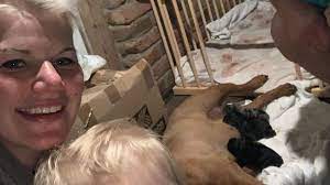 Und wie hat die dschungelkönigin auf die bestätigung der schwangerschaft reagiert? Nachwuchs Im Hause Muller Melanies Hund Hat Welpen Bekommen Promiflash De