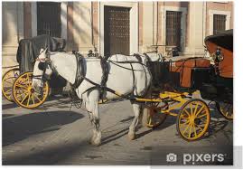 Maybe you would like to learn more about one of these? Fiaker With White Horse Poster Pixers We Live To Change