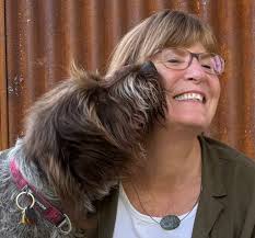 Steve Daines Archives • Daily Montanan