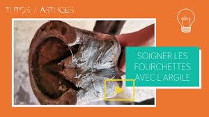Tuto Fourchette Cheval Pourrie Argile Verte Youtube