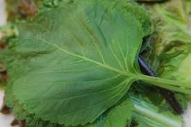 깻잎の意味 エゴマの葉 韓国語 Kpedia