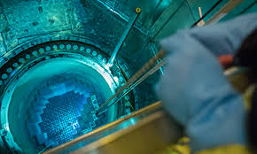 Ring·hals·es also rink·hals·es an african snake that has one. Revision Pa Ringhals Vattenfall