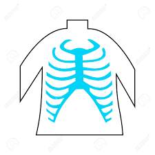 During a duodenal intubation the probe does not pass from the stomach into the duodendum. Rib Cage Lungs Heart Liver Stomach Iinternal Organs Icons And Royalty Free Cliparts Vectors And Stock Illustration Image 109672527
