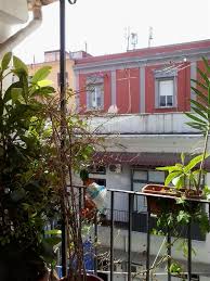 Nel pieno del centro storico di napoli, di fronte la chiesa dell'annunziata, in uno stabile in cemento. Attico Con Terrazzo A Napoli In Via Nilo Centro Storico 2 Locali 55 Mq Pcase It