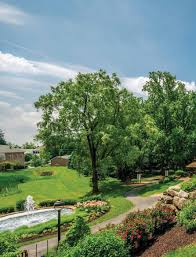 The Home News August 17 by Innovative Designs & Publishing, Inc.