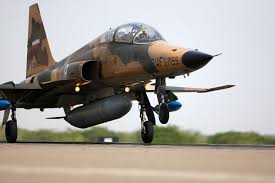 Freewing's rendition incorporates a thicker airfoil to enhance the lifting body design of. Iran S U S Made F 5 Jets Could Fly Until The 2040s