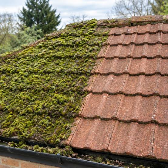Roof surface cleaning assessment