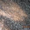 Looking for a good deal on dried black fungus? 1