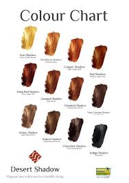 Fashion Light Chestnut Hair Color Chart Enchanting Desert