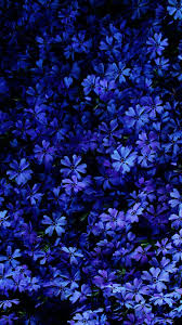 Blue and purple spring blossoms background. Blue Cobalt Blue Purple Violet Lilac Pattern Best Flower Wallpaper Blue Flower Wallpaper Flower Phone Wallpaper