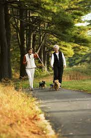 Take A Walk At The Pinehills Pine Hills Photo Couple Photos