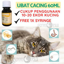 We did not find results for: Ubat Cacing Kucing Anjing Kitten Adult Cat Pet Deworm Wormnil 60ml Shopee Malaysia