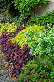 Beautiful Shade Border In Garden Shade Garden Plants Shade Plants Shade Garden Design