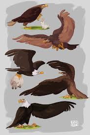 Maybe you would like to learn more about one of these? Recherches De Charadesign Pour Notre Aigle Animal Drawings Cartoon Character Design Cartoon Drawings