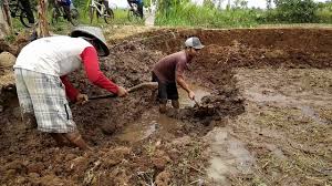 Cara Pembuatan Kolam Tanah Untuk Budidaya Ikan Lele Rpa Farm Fish Kunjungan Youtube