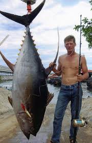 That's not to say that her yellowfin is the biggest ever caught off the united states; 10 Of The Biggest Yellowfin Tuna Catches Sport Fishing Magazine