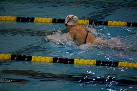 La finale du 100 m nage libre homme avec alain bernard, amaury leveaux et filippo magnini, désolé pour le son. Brasse Natation Wikipedia