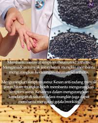Jintan hitam dapat dijadikan sebagai obat herbal untuk berbagai macam penyakit. Nak Fakta On Twitter Minyak Jintan Hitam Habbatus Sauda 1 Nakfakta Nakbebel