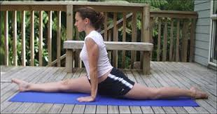 Image result for splits