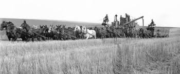 Image result for WHEAT HARVEST WALLA WALLA HISTORY