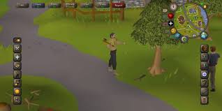 Top ten quest items rs07. Old School Runescape Mobile Tips And Tricks Make The Most Of Osrs Mobile