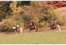 Fall Foliage Pleasure Ride