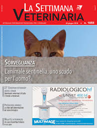 Malattia di lyme questa malattia è trasmessa dalle zecche e sì, i gatti possono la possono trasmettere all'uomo. La Settimana Veterinaria