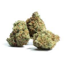 Amnesia Haze Weed Strain Information