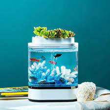 Geometry Mini Lazy Fish Tank Full Specifications Photo Xiaomi Mi Com