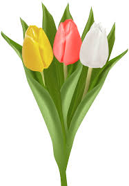 Flower, pink, pink tulip, trinity square, tulip. Bouquet With Tulips Clip Art Image Gallery Yopriceville High Quality Images And Transparent Png Free Clipart