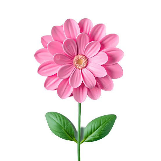 Uma Bela Flor Rosa PNG , Rosa, Verde, Natural PNG Imagem para download gratuito