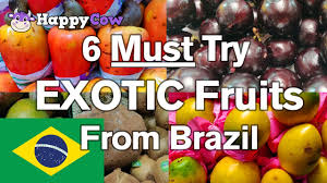 Shop our endless options and find the perfect fit!. Top 5 Unusual Exotic Fruits From Brazil You Ve Never Heard Of Youtube