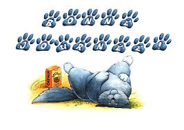 Résultat de recherche d'images pour "BONNE SEMAINE CHAT"