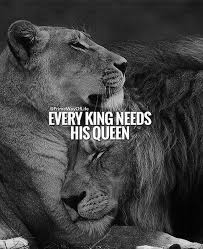 Now That S A Good Shot Lion Quotes Inspirational Quotes Motivation Lioness Quotes