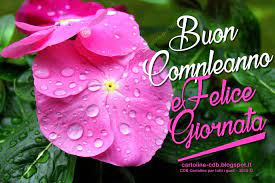 Cdb Cartoline Per Tutti I Gusti Cartolina Buon Compleanno E Felice Giornata Con Immagine Floreal Buon Compleanno Biglietto D Auguri Auguri Di Buon Compleanno