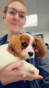 What are some Taylor Swift themed name ideas for puppies?