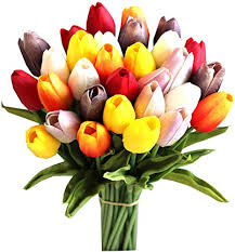We did not find results for: Amazon Com Mandy S 28pcs Multicolor Artificial Tulip Silk Flowers 13 5 For Home Kitchen Wedding Decorations Home Kitchen