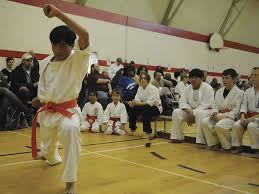 Wado-Kai kids come from far and wide to Oshawa