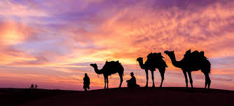 This is the most credible approach to follow the tracks of arab. Camel Ride In Dubai Exciting Experience In Desert