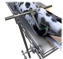 Leg Holder Kit - Novetech Surgery
