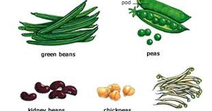 Peas Beans Vegetable Pictures Pea Beans Beans