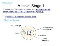 We did not find results for: Biology Leaving Cert 2 3 Cell Continuity Biology