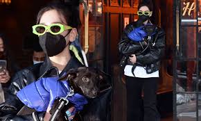 Let's bring back this video of dua lipa dancing to feel special lol @jypetwice pic.twitter.com/deyi3dtw51. Dua Lipa Makes A Bold Style Statement In Nyc After Her Saturday Night Live Appearance Daily Mail Online