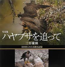 ハヤブサを追って: 写真集 500日にわたる調査記録 | 三谷 康則 |本 | 通販 | Amazon