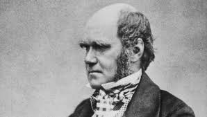 Charles Darwin's Two Faulty Metaphors ~ The Imaginative Conservative