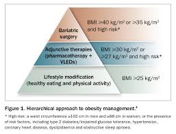 Image result for Obesity Management