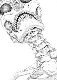 Skeleton Drawing Skeleton Drawings Anatomy Art Skull Art