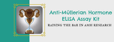 The more eggs a woman has, the higher her amh level. New Product Now Available Anti Mullerian Hormone Elisa Assay Kit Eagle Biosciences