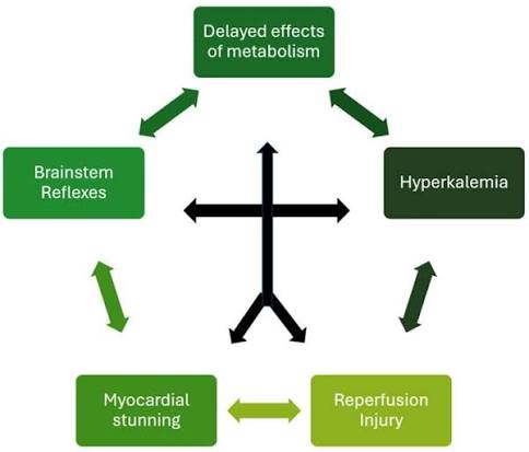 Lazarus syndrome-a miraculous revival