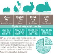 science selective rabbit supreme petfoods